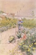 Carl Larsson In the Kitchen Garden France oil painting artist